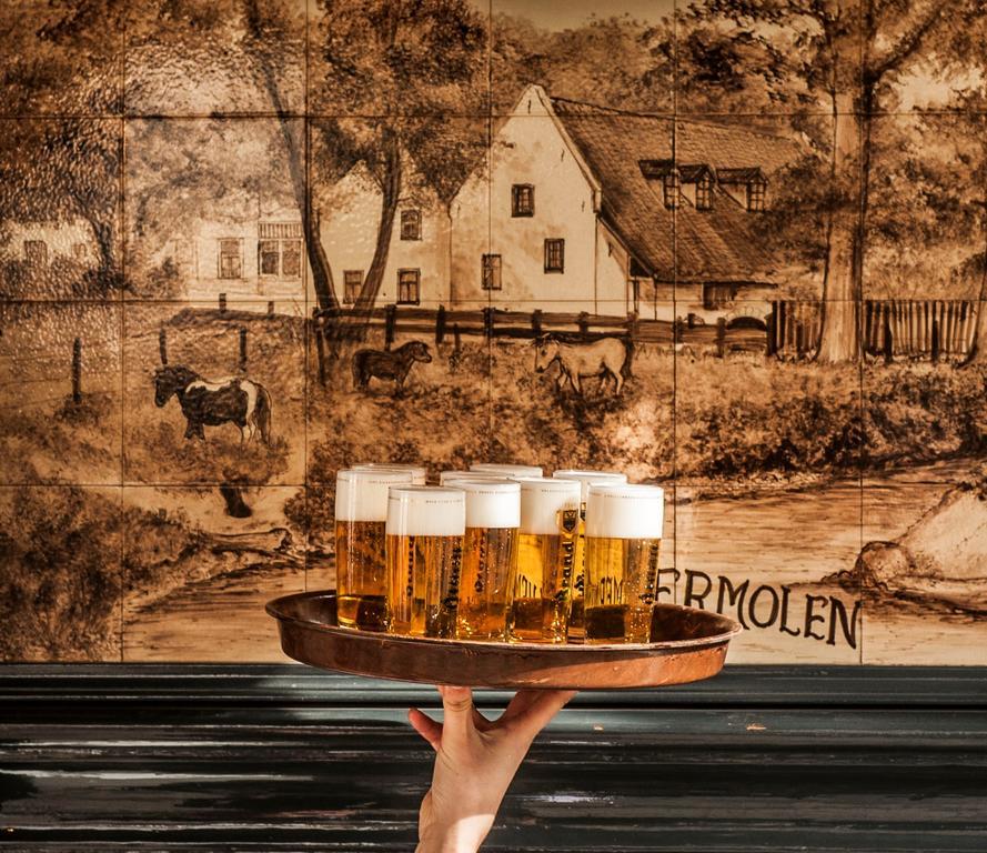 Отель Tavern De Geulhemermolen Берг-эн-Терблейт Экстерьер фото